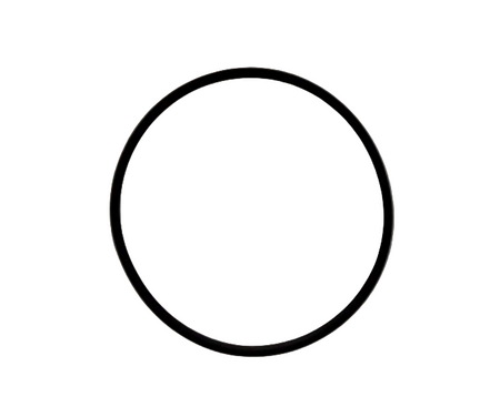 AVL Schrick 0644-26493 - Water Pump to Oil Pump Casing O-Ring